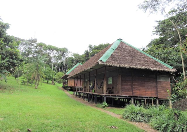 Tambopata Rainforest Tour