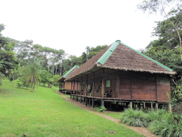 Discover the Hidden Gems of Tambopata Ecolodge