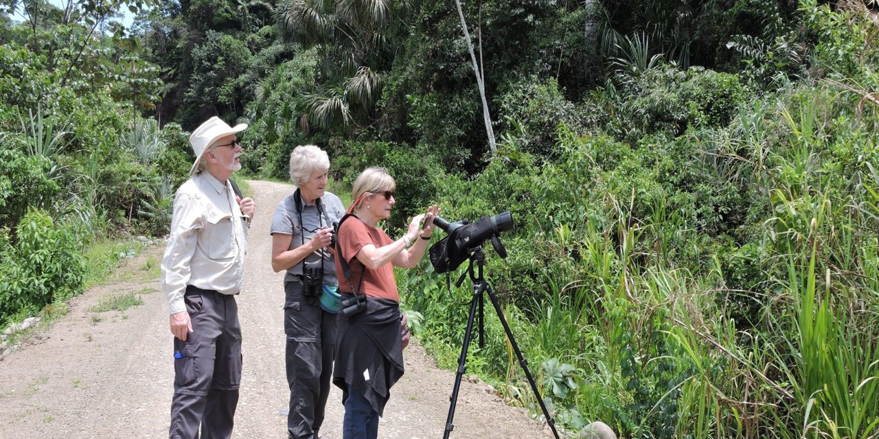 Birding in Manu 4 Exclusive Days