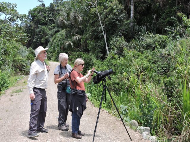 Birding in Manu 4 Exclusive Days