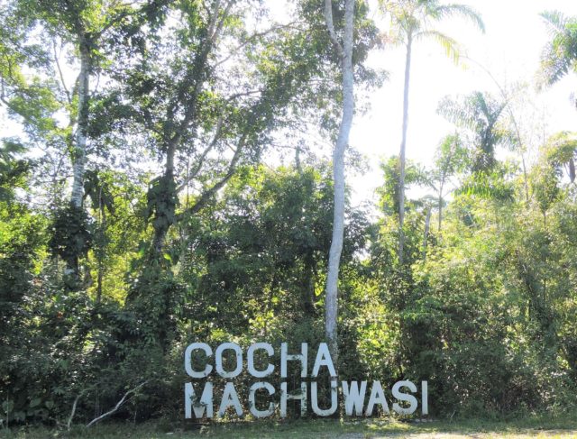 Best Birding Lodges in Peru - cocha machuhuasi