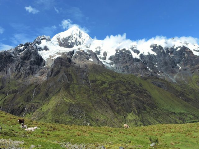 https://wildwatchperu.com/wp-content/uploads/2018/09/abra-malaga-glaciers-1-640x480.jpg