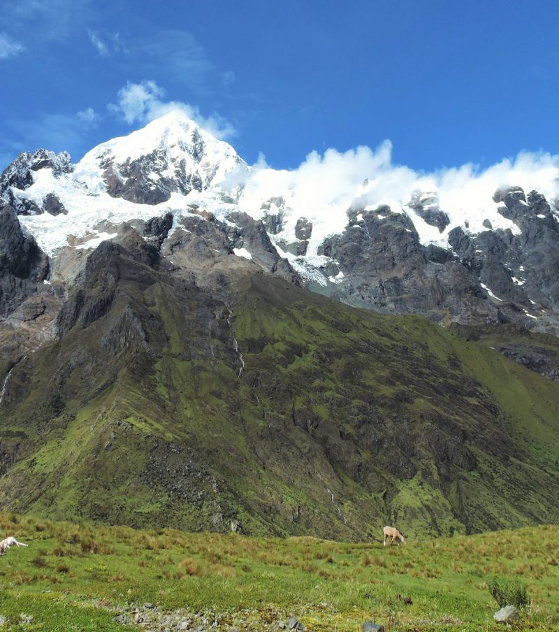 Birding in Abra Malaga 2 Days