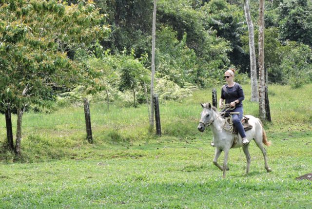 manu park _horse riding
