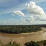 Is the Amazon Rainforest in Peru?