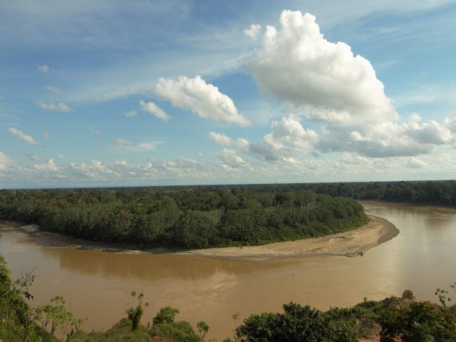 The Amazon Rainforest: Does It Extend into Peru?