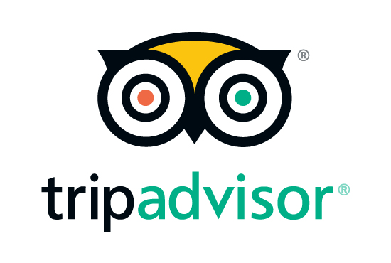 Best Tour Operator