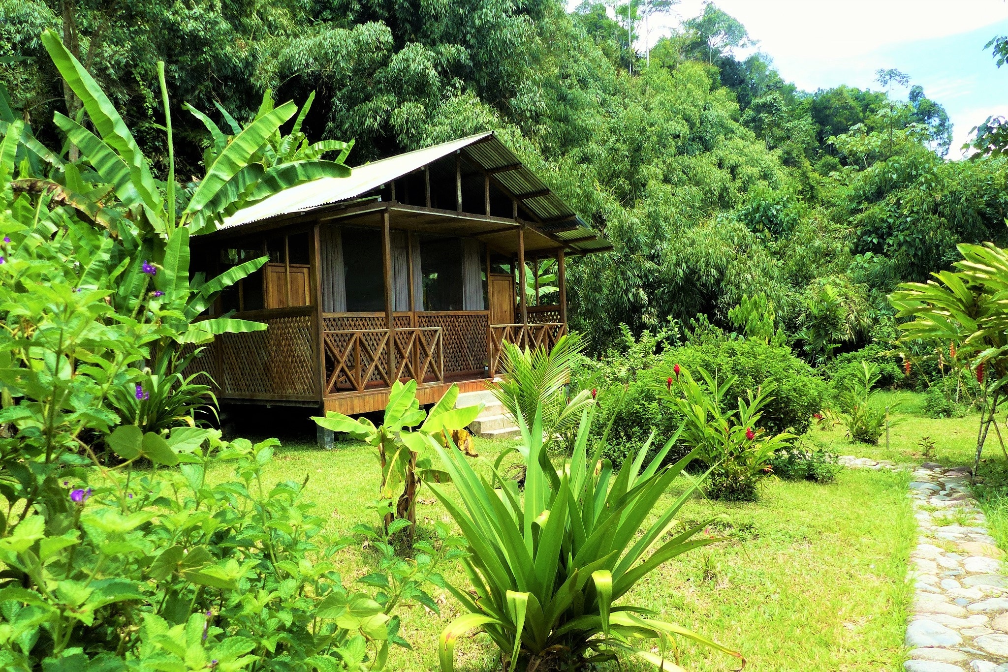 lodges in manu national park - guadalupe