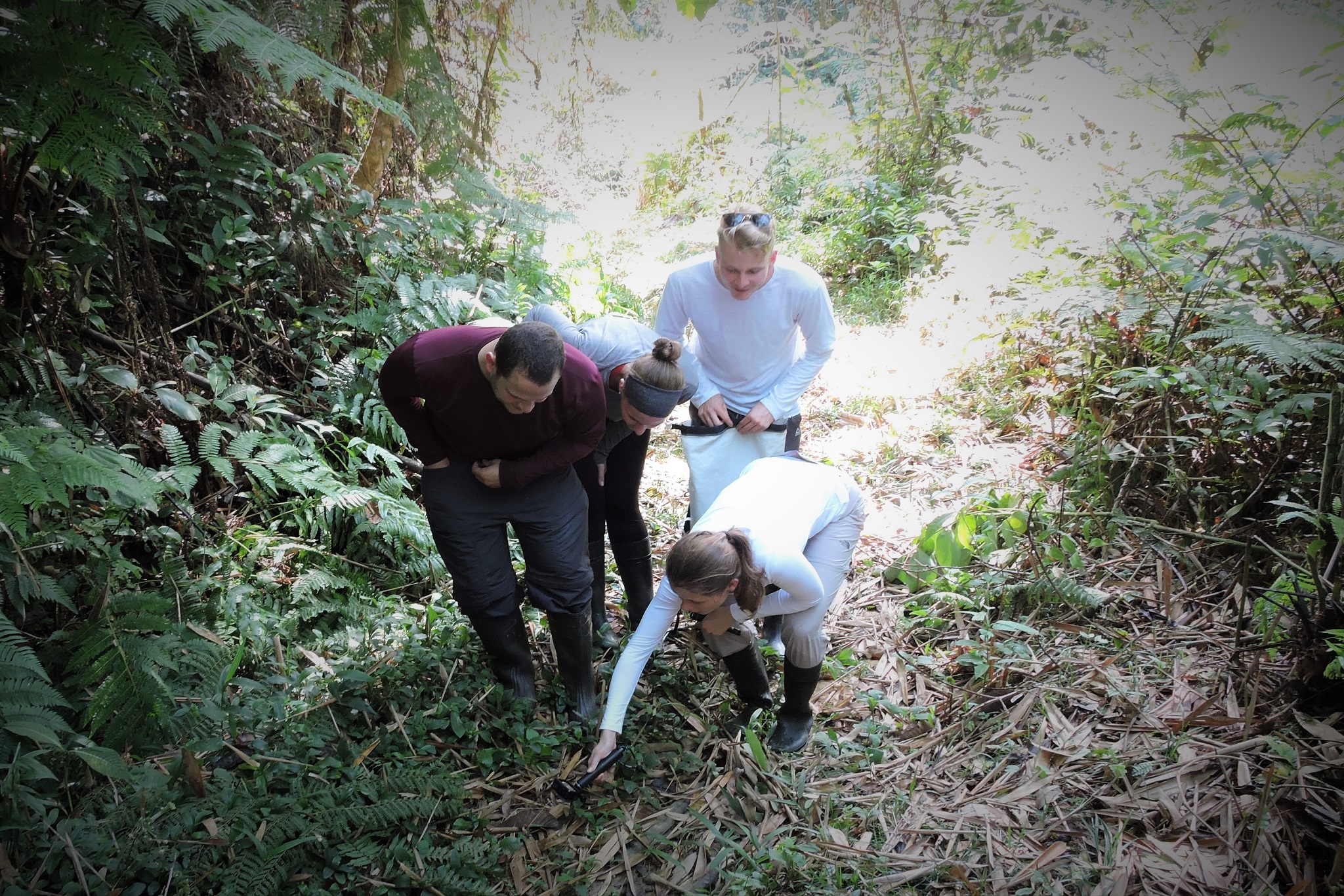 Manu fixed departure vs private