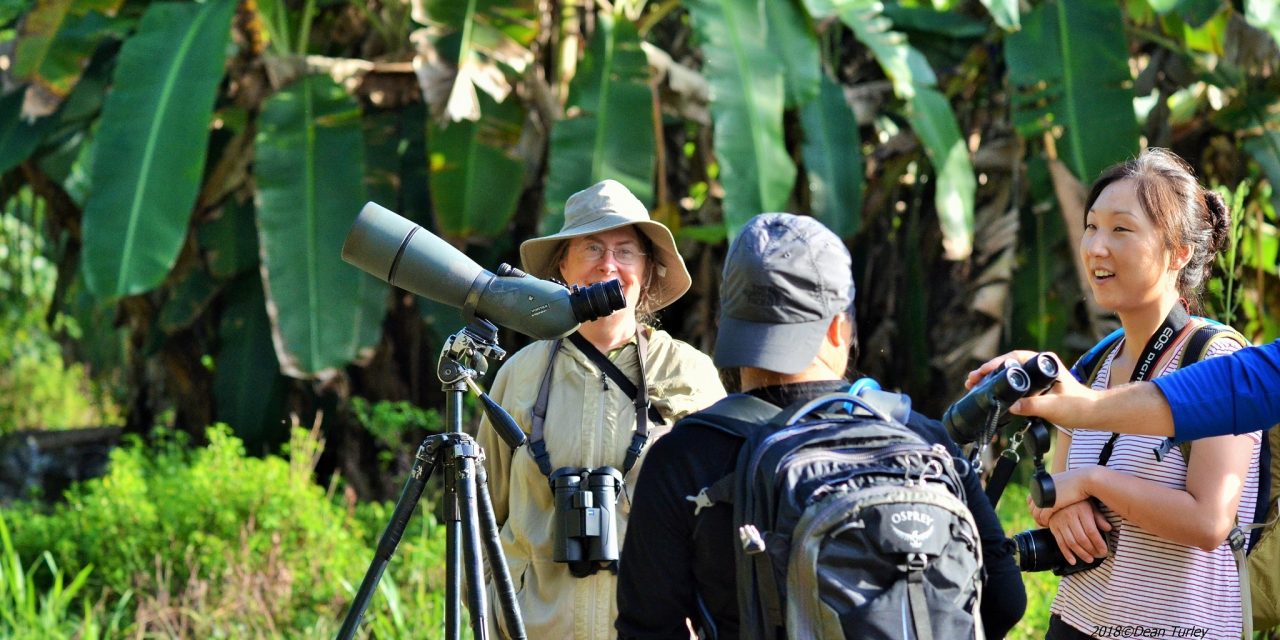 Experiencing the Best Birding Lodges 6 days