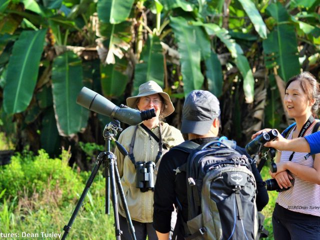 Experiencing the Best Birding Lodges 6 days