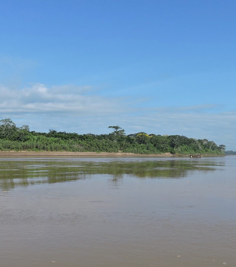 Jungle Bliss: 3-Day Tambopata Tour