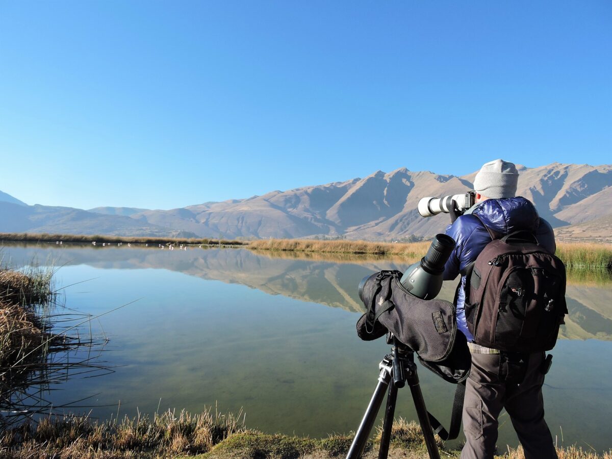 Huacarpay lake - Birding nearby cusco