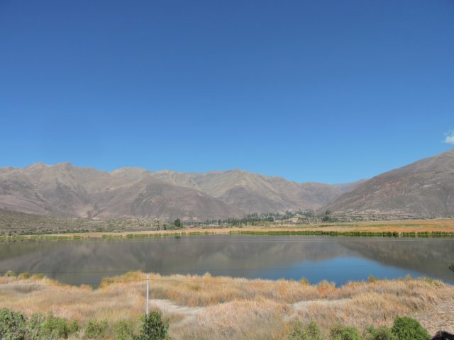 Birding in Cusco - Huacarpay Lake