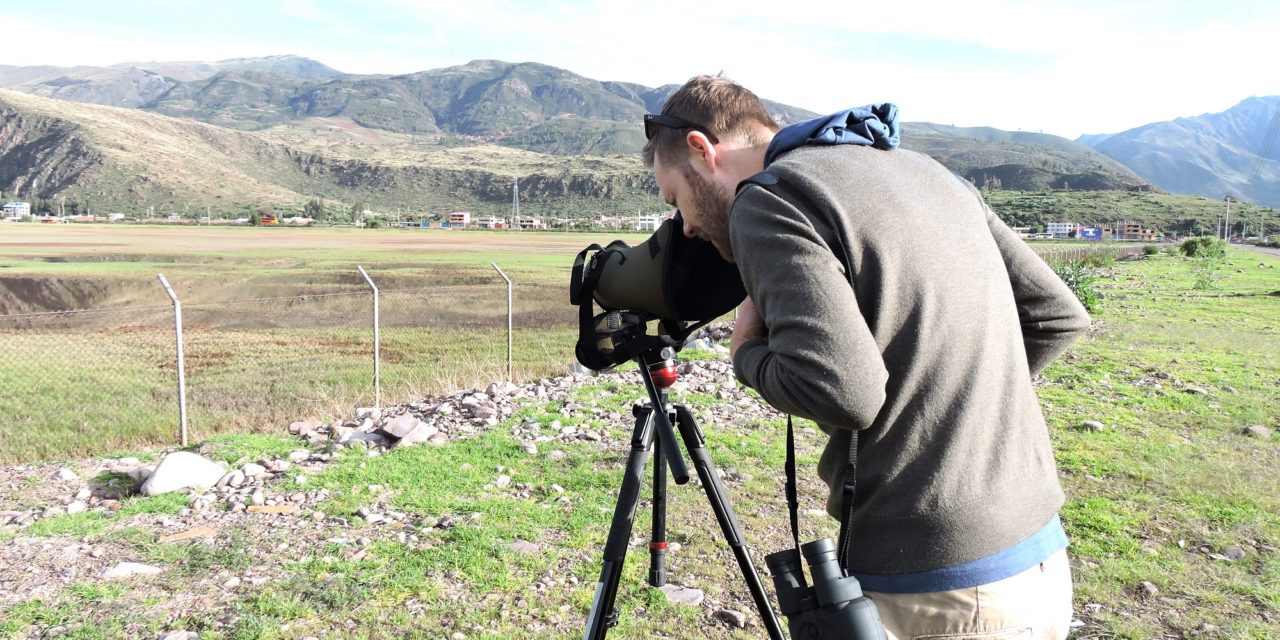 Quick Birdwatching Escape in Cusco – Morning Time!