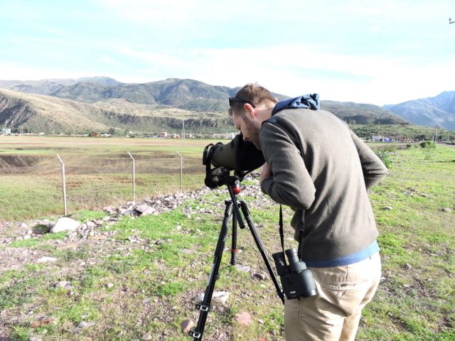 Quick Birdwatching Escape in Cusco – Morning Time!