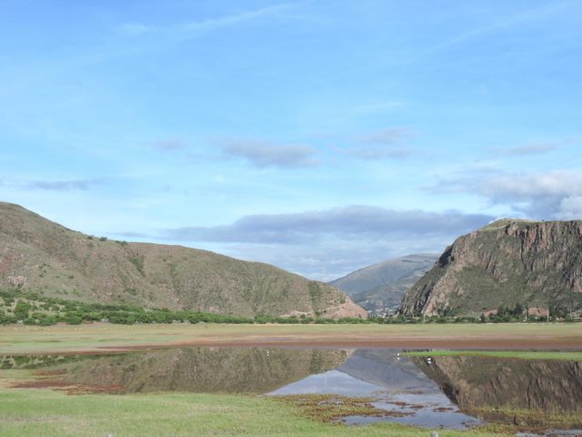 Birding in Cusco