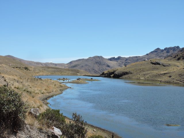 Birding in Cusco, laguna Rumichaca 