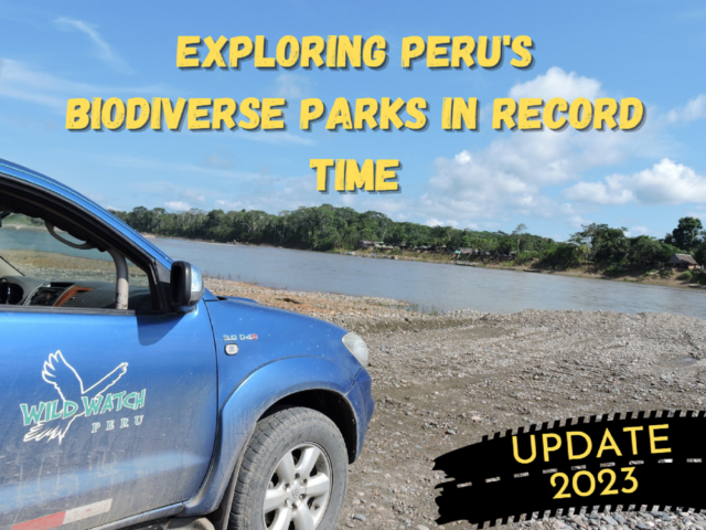 A Quick Tour of Peru’s Biodiverse Parks – Closest Rainforest from Cusco