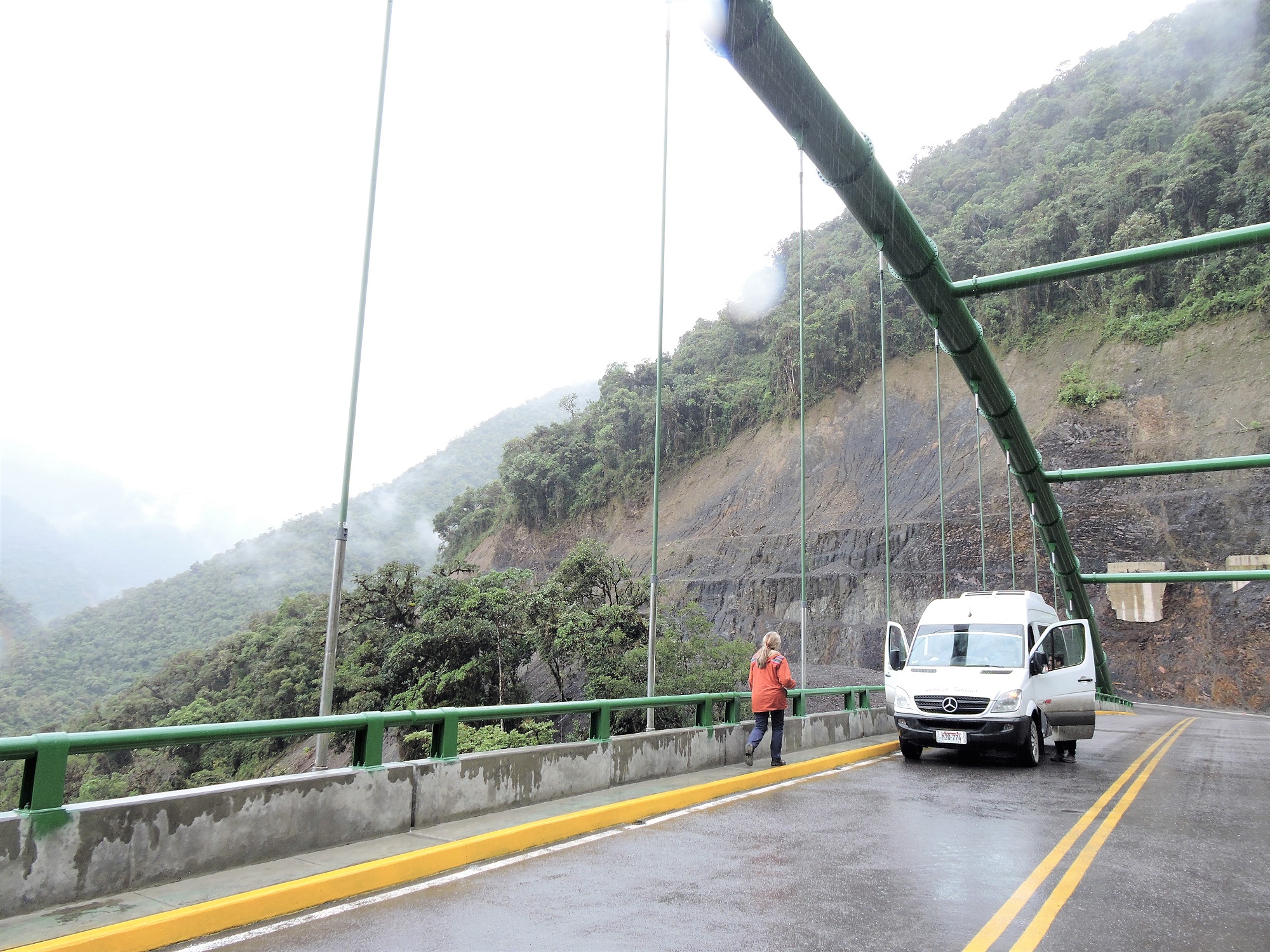 rainforest near Cusco