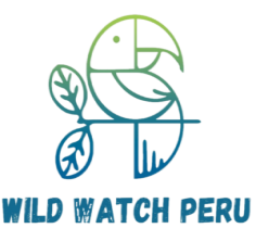 https://wildwatchperu.com/wp-content/uploads/2023/03/wwp-logo-transparente_pequeno.png