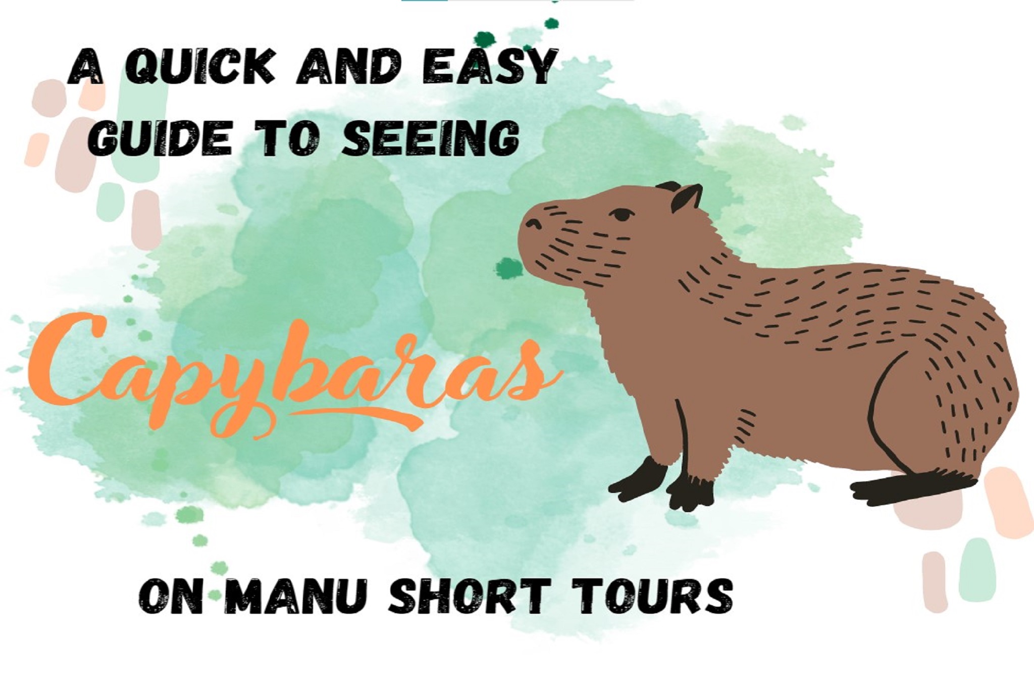 Capybara guide: how to identify, what they eat, where they live and why  they're good swimmers - Discover Wildlife