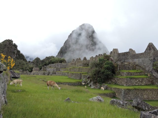 Beyond Machu Picchu: Uncovering Incan Secrets in 4 Days