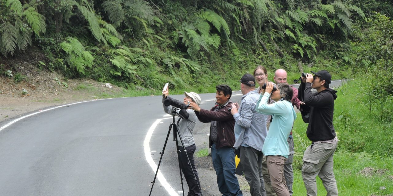 How to Maximize Your Travel Time along the Manu Road