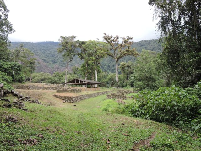 Best Birding Locations in Cusco