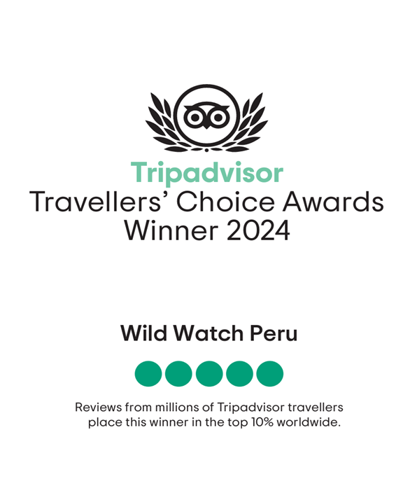 Best Tour Operator in Manu National Park award 2024