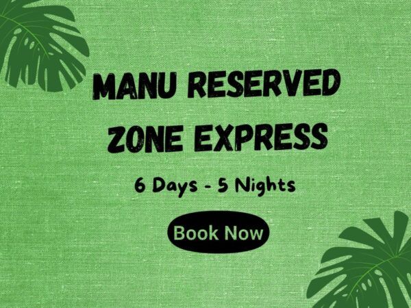 Embark on an unforgettable adventure with Manu Reserved Zone Express 6 Days! Explore the breathtaking biodiversity of Manu National Park, one of Peru's most stunning natural wonders. This 6-day tour program takes you deep into the core of the park, where you'll have the chance to encounter elusive wildlife in their natural habitat. Get ready to spot rare species, immerse yourself in the lush Amazon rainforest, and discover the rich cultural heritage of the Manu region. Join us for an unparalleled wildlife experience in one of the most biodiverse places on the planet!