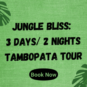 Tambopata 3 Days Tour Updated Rate and Tour Description