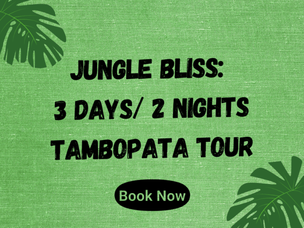 Tambopata 3 Days Tour Updated Rate and Tour Description