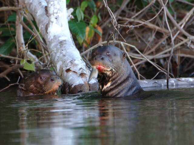Puerto maldonado to sandoval lake 