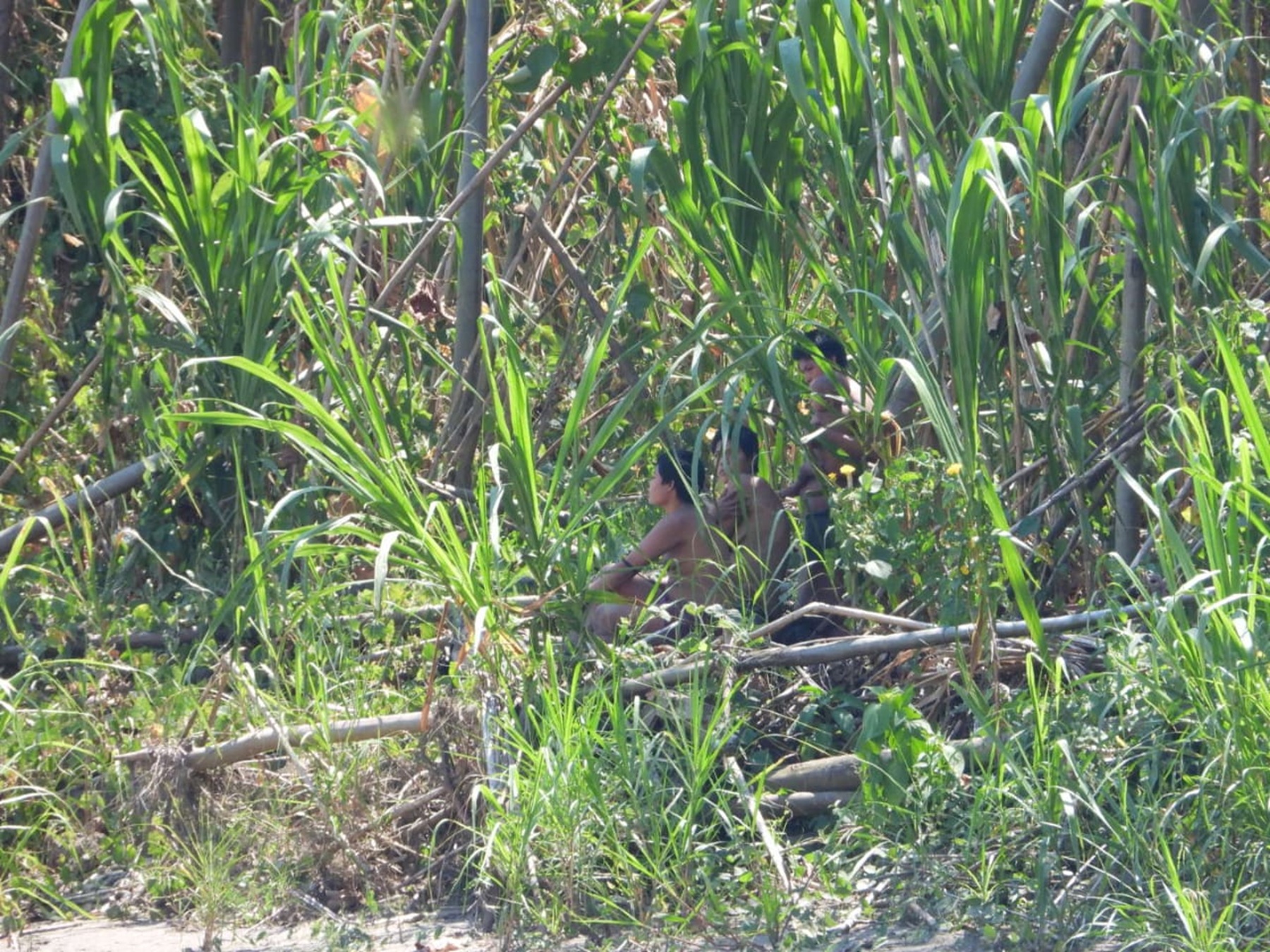 Uncontacted tribes in the Amazon - Mashcopiros in Manu