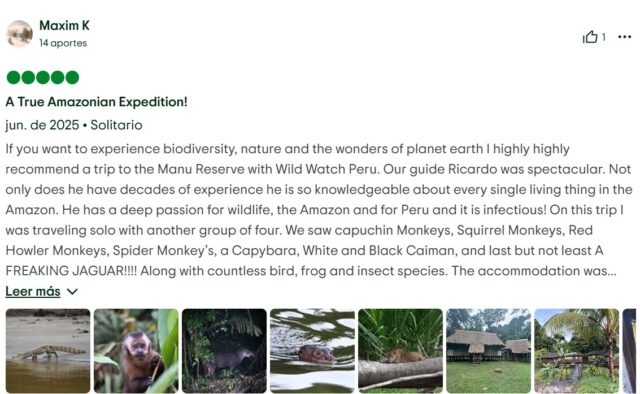 Wildlife adventure in the Amazon rainforest.