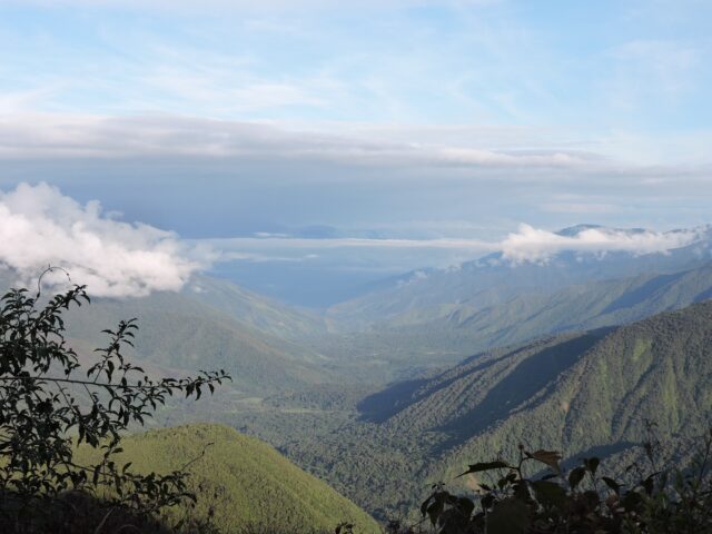 Best Birding Locations in Peru